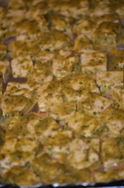 Tofu Ready for the Oven